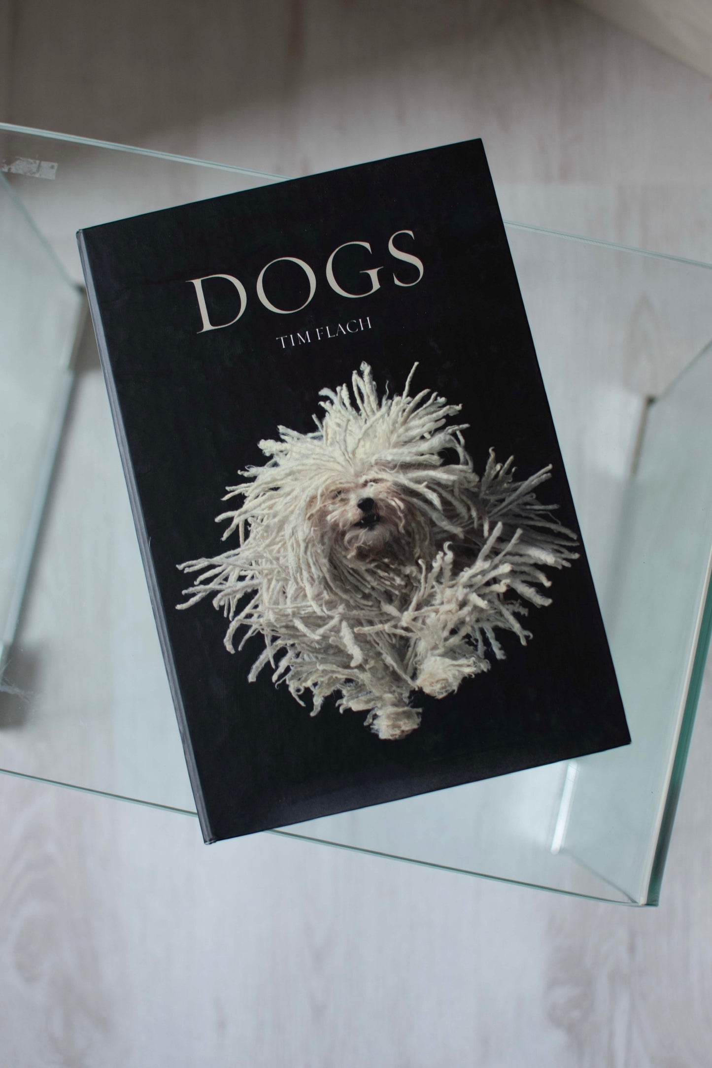 Dogs Black Decorative Secret Coffee Table Book Box