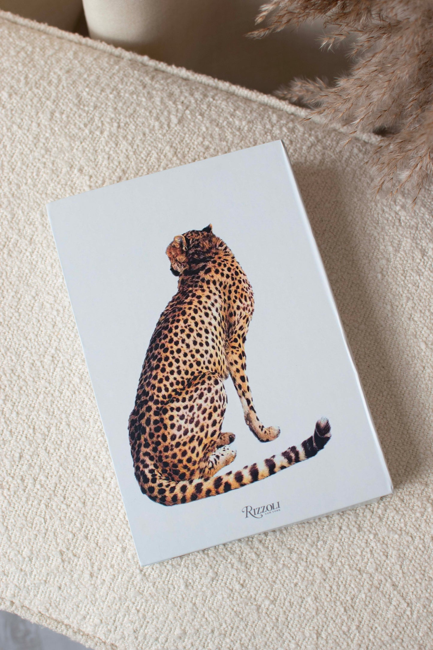 Animal Kingdom Decorative Secret Coffee Table Book Box