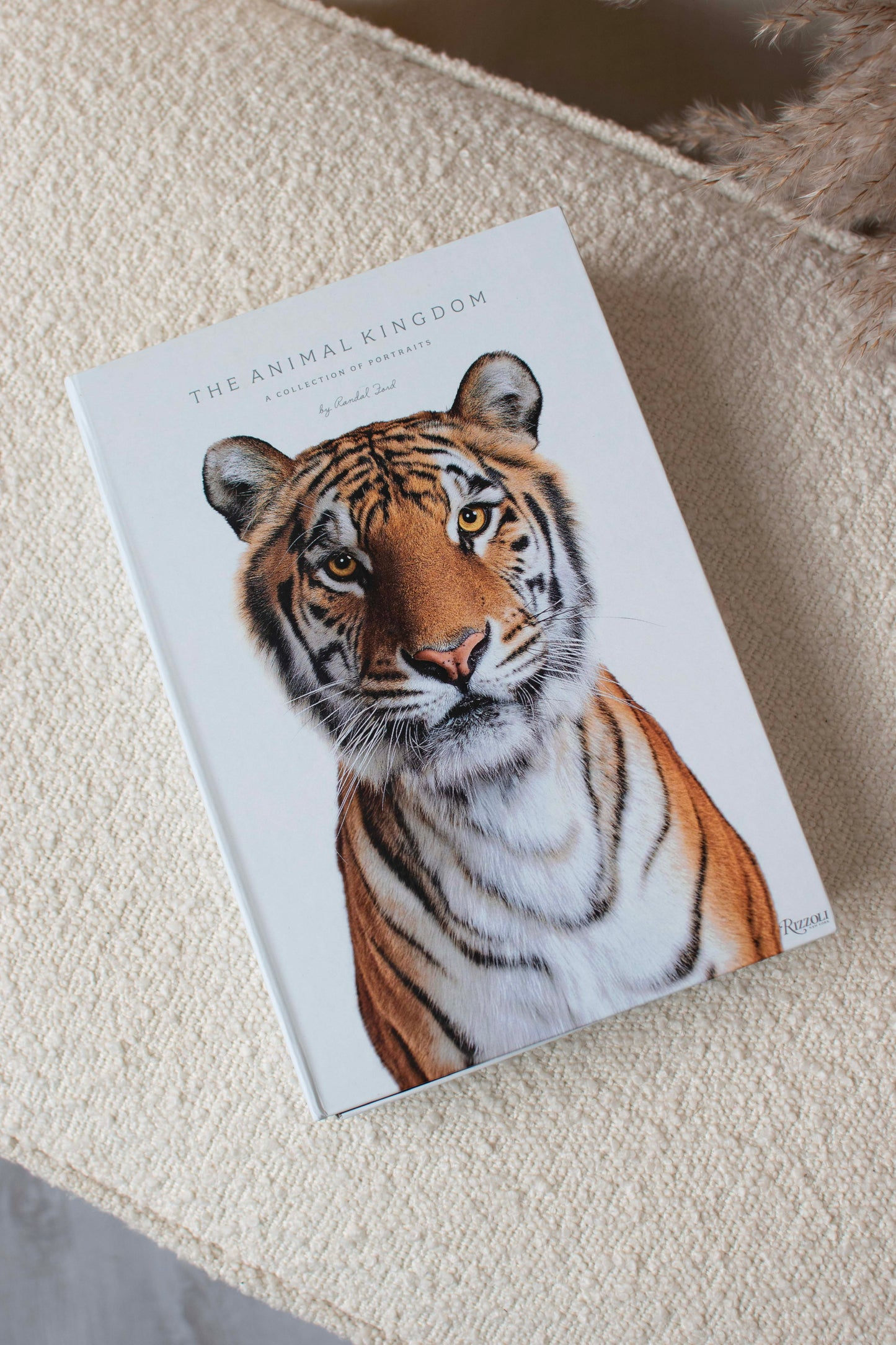 Animal Kingdom Decorative Secret Coffee Table Book Box