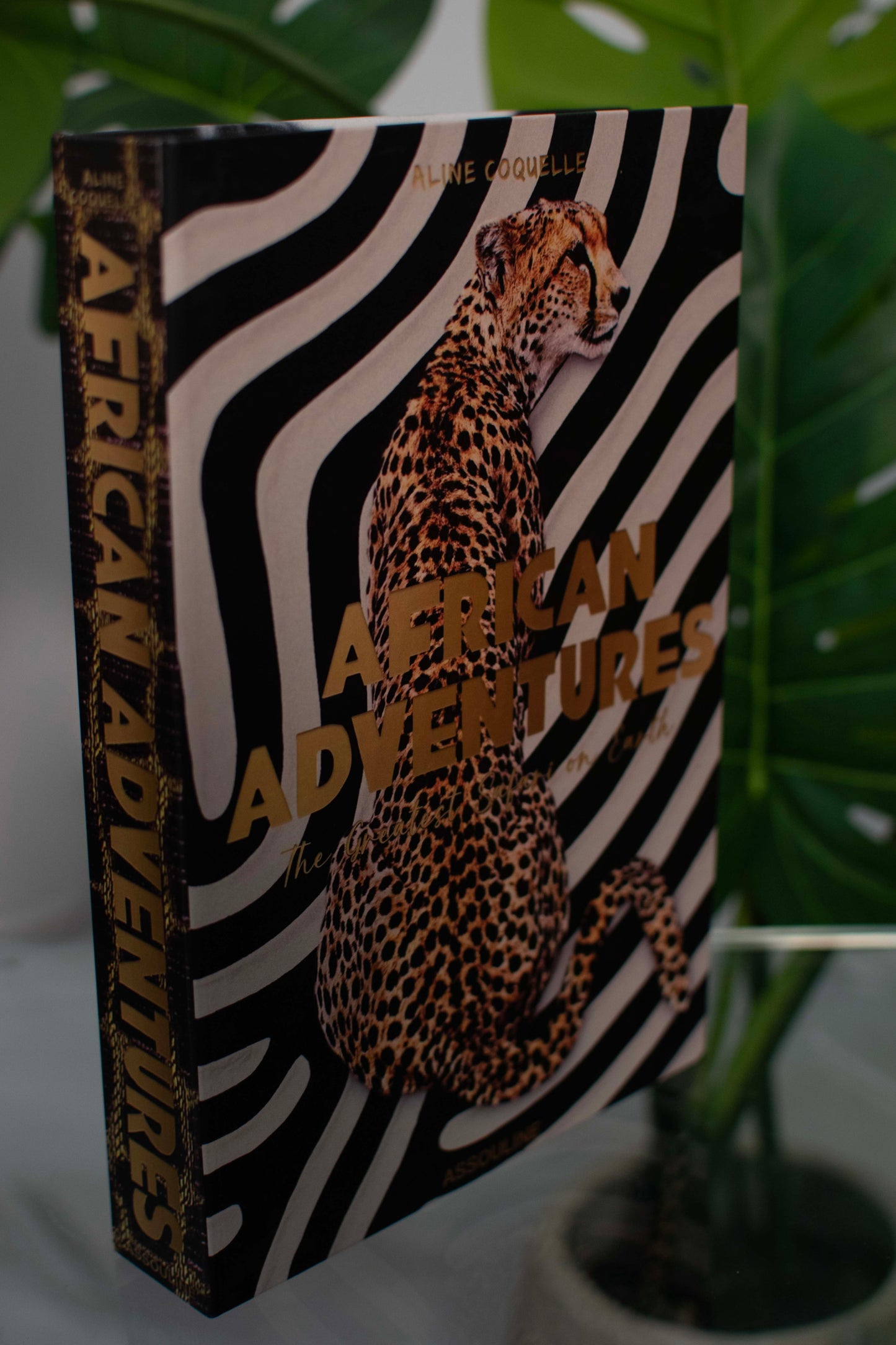 African Adventures Gold Decorative Secret Coffee Table Book Box